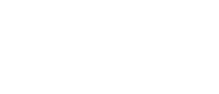 vt-Logo blanco